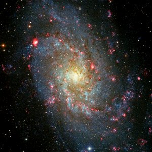 Messier 33 (cutout)