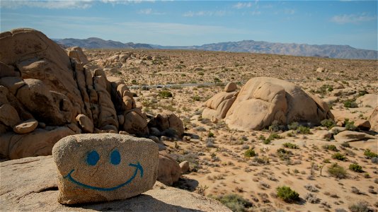 Graffiti Near Jumbo Rocks