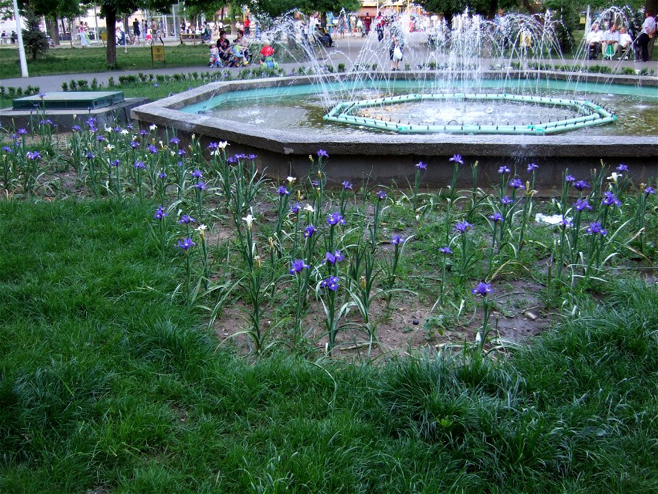 parcSfMaria_20070515_1