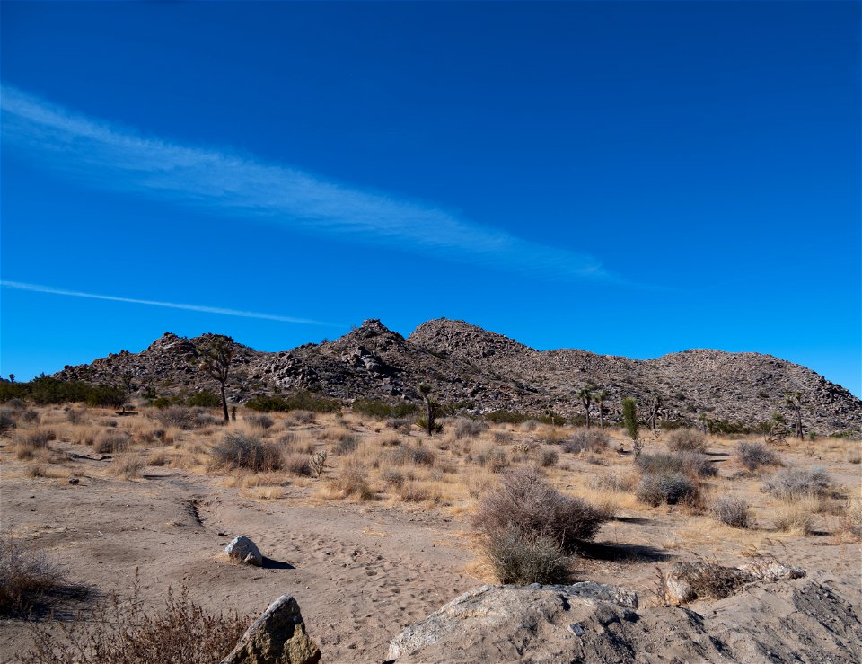 Joshua Tree National Park
