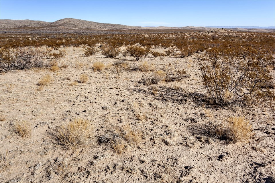 Otero Mesa
