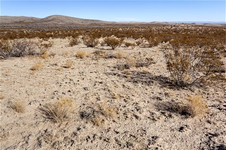Otero Mesa