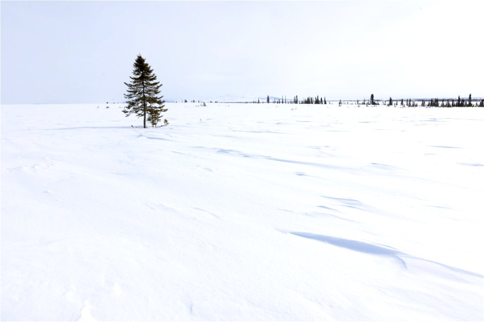Textures of snow at Selawik National Wildlife Refuge