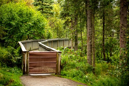 Gate and ramp leading to Brooks Falls - Photo courtesy of C. Chapman photo