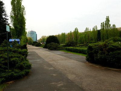 Herestrau Park in spring (122)