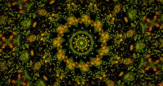 Kaleidoscope211210153431