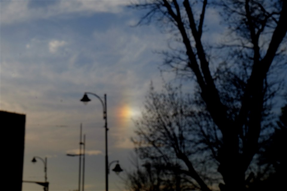 nori-Popasului2015_0414_184107