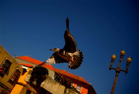 _DSC5457