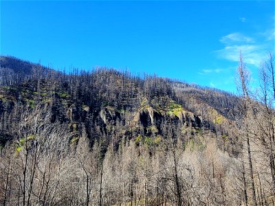 Cliffs above Fish Creek Rd, Mt. Hood National Forest photo