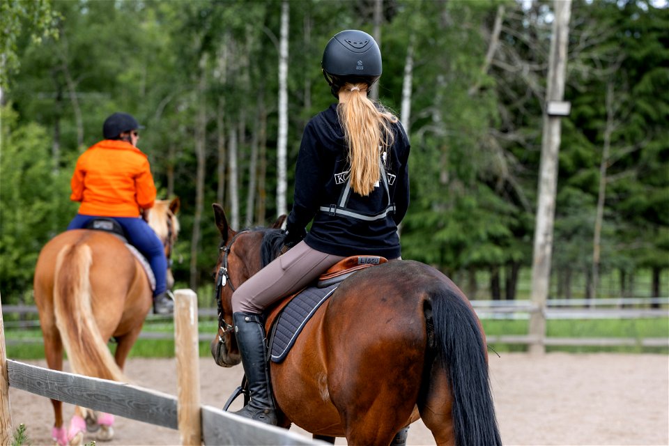 Koivuniemen talli, Hämeenlinna