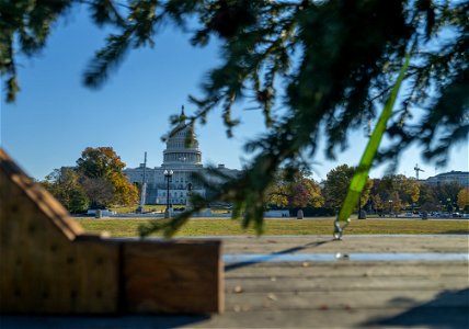 CapitolXmasTree-WashingtonDC-005