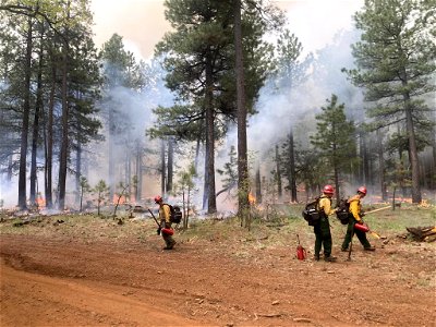 Burnout operations on Mooney Mountain, Volunteer Fire 6/2/23. photo