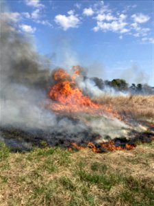 2021 USFWS Fire Employee Photo Contest Category: Fire in Sensitive Habitat photo