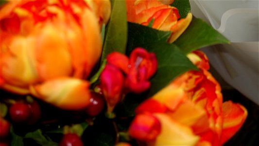 flori_flowers-wife-2023_0216_162239