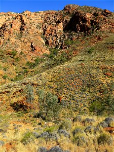 Between Birthday Waterhole and Hugh Gorge (section 5)