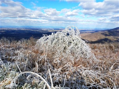 Ice Storm 202