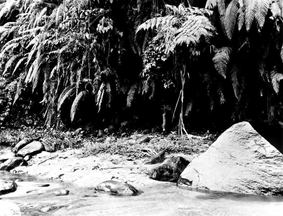 SC 334754 - An American soldier examines an abandoned Japanese machine gun position in a cave 370 yards up Jaba Creek on Bougainville.