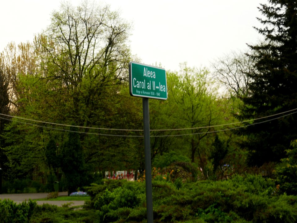 Herestrau Park in spring (124)