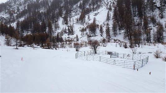 Col Agnel - Queyras