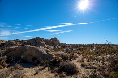 Joshua Tree National Park