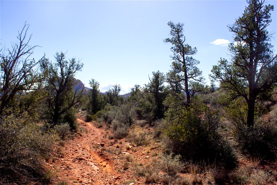 Trails: Old Post Trail
