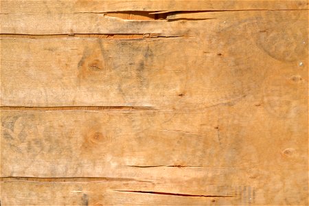 Texture