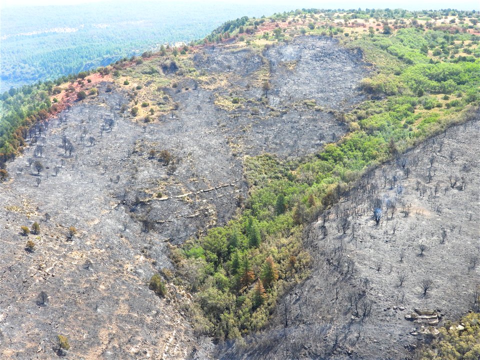 Air Operations 7/21/22 Committee Fire
