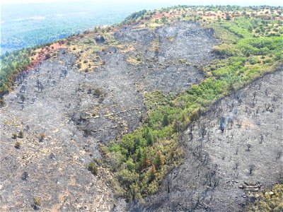 Air Operations 7/21/22 Committee Fire photo