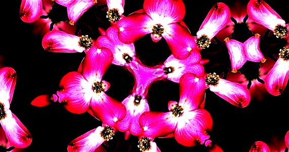 Kaleidoscope230106185546