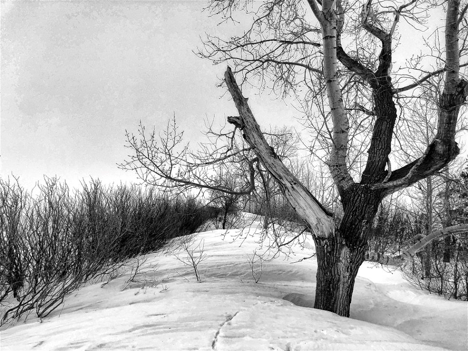Climbing the Drifts