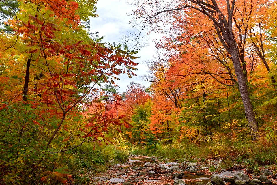 Sawmill Creek