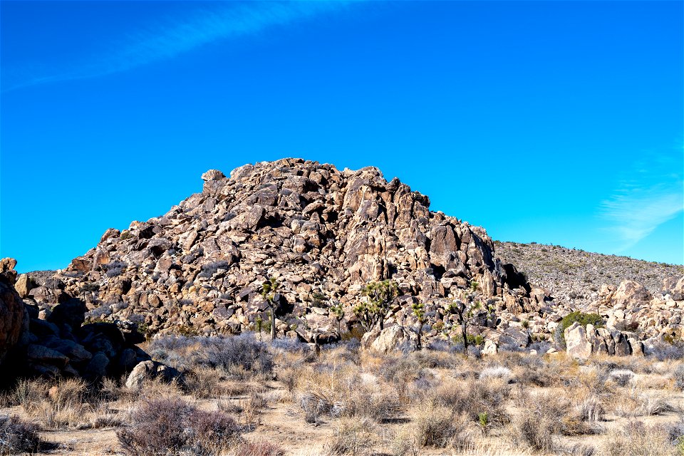 Joshua Tree National Park