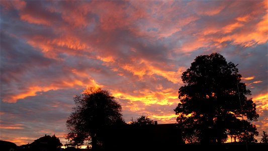 DSC01009