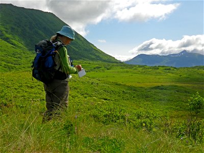 Volunteer botanist Stacy Studebaker