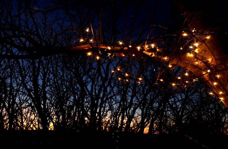 Lights Near and Far