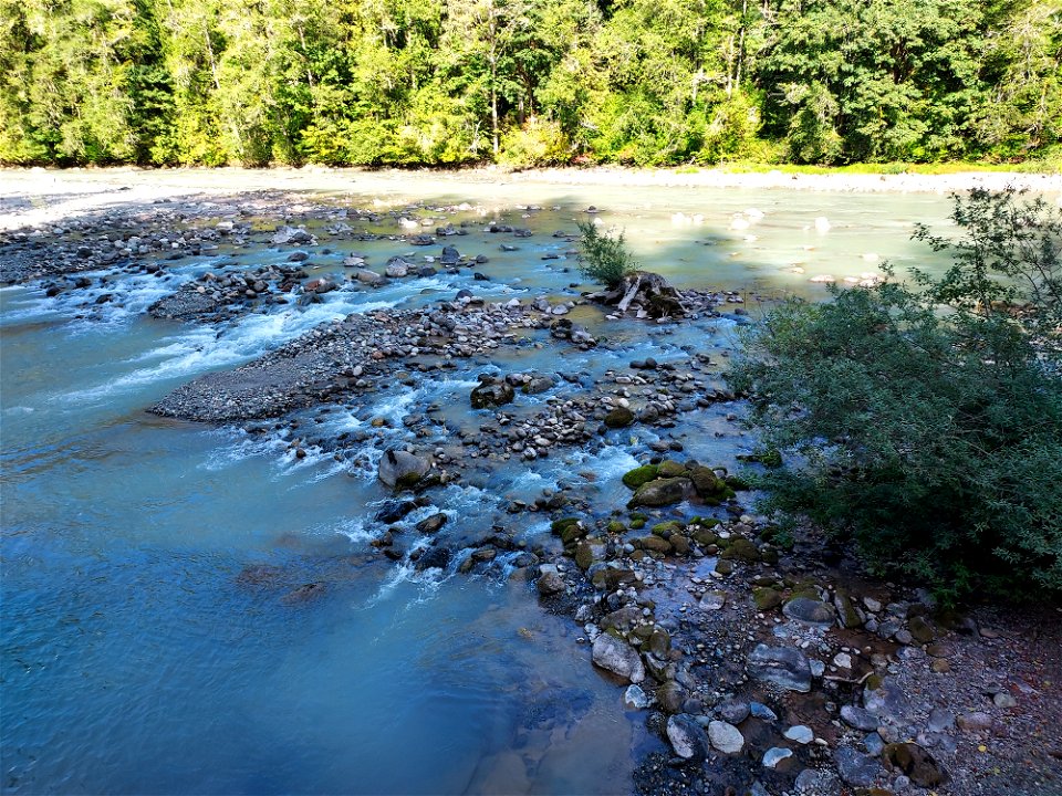 Sauk River from Clear Creek Bridge, Mt. Baker-Snoqualmie National Forest. Photo by Anne Vassar Sept. 13, 2021.