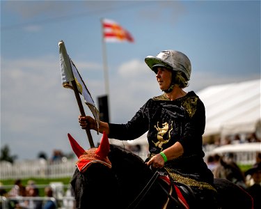 WCAS - Fell Pony Parade