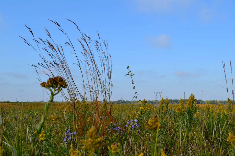 Fall on the prairie photo