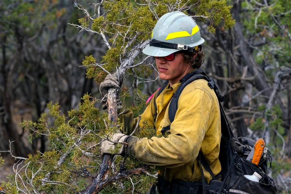 Boulder Creek Fire photo