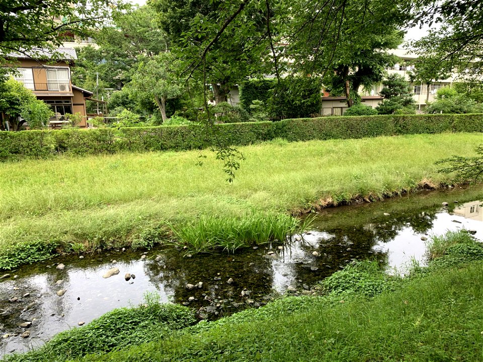Negawa River in Tachikawa Park, Tachikawa-shi