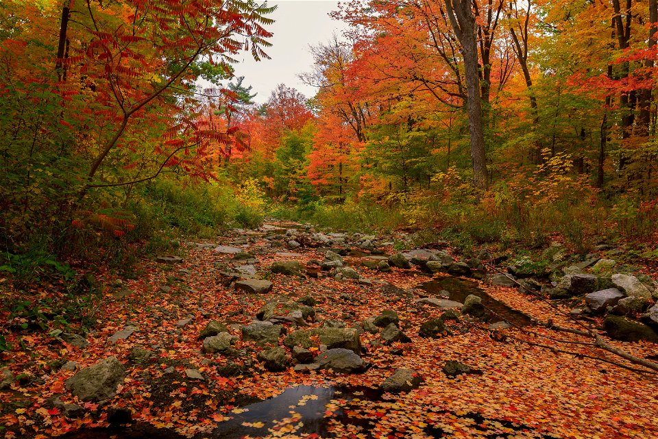 Sawmill Creek