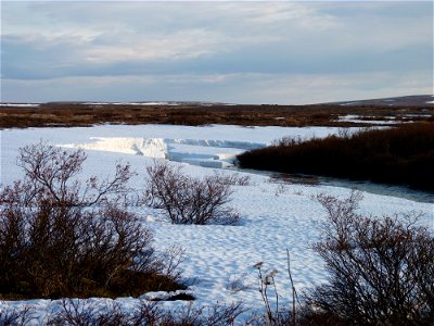 Allen Creek in May photo