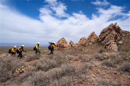 Las Cruces Fuels Project