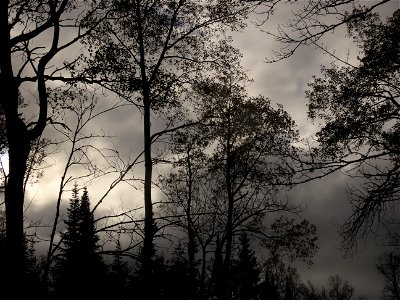 20211012-FS-Superior-SAR-004
