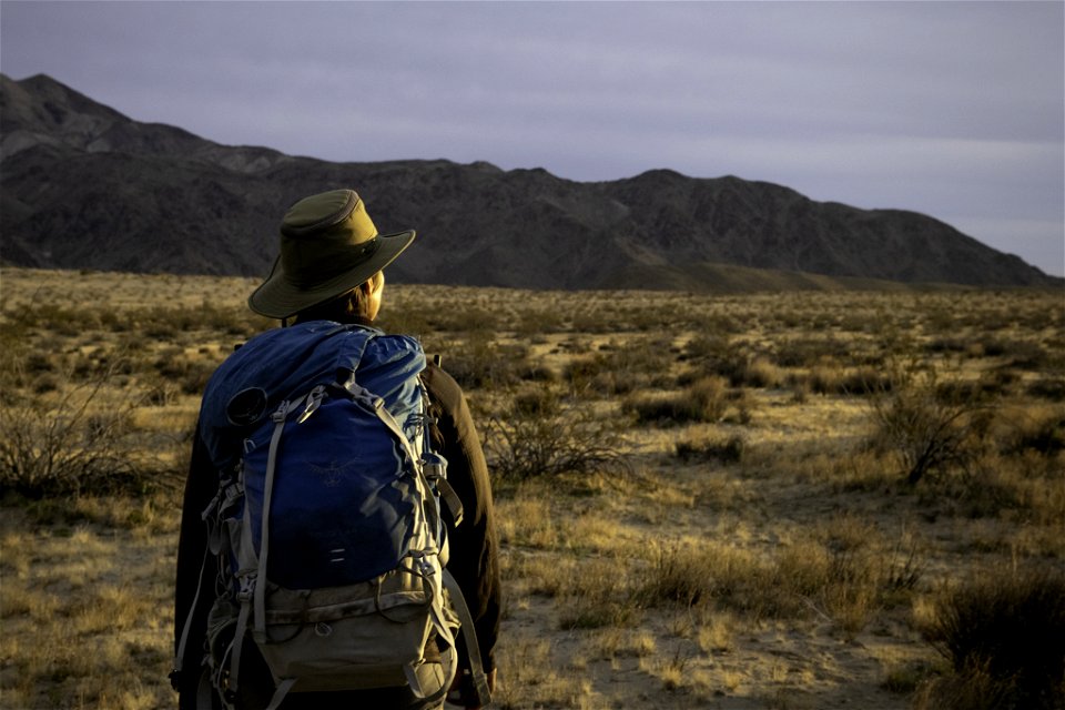 Researcher hiking in the Pinto Mountain and Turkey Flats area