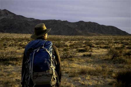 Researcher hiking in the Pinto Mountain and Turkey Flats area photo