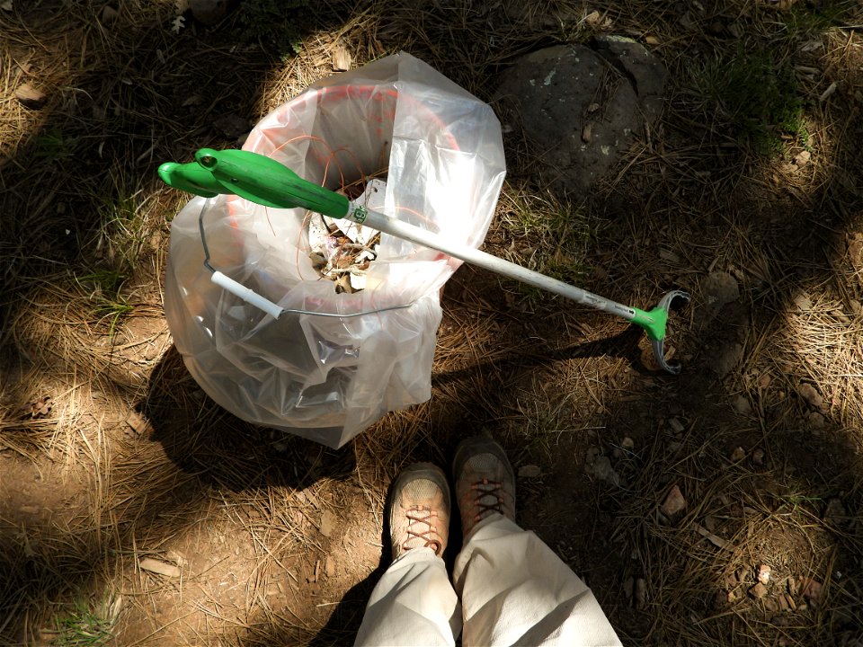 Pickin' Up in the Pines May 2022