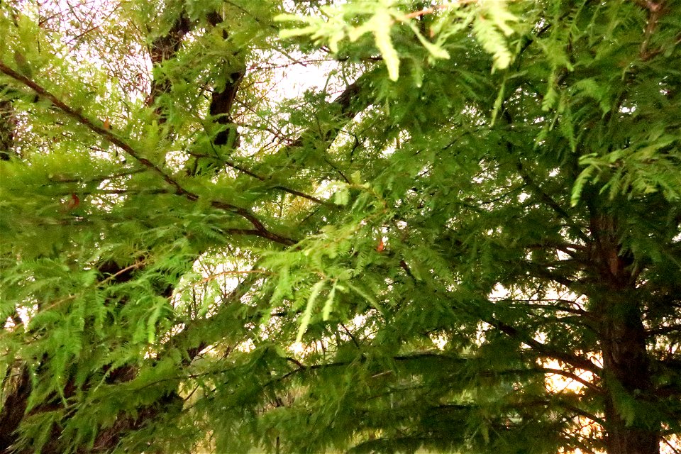 fabulous-foliage_2016_0926_082239