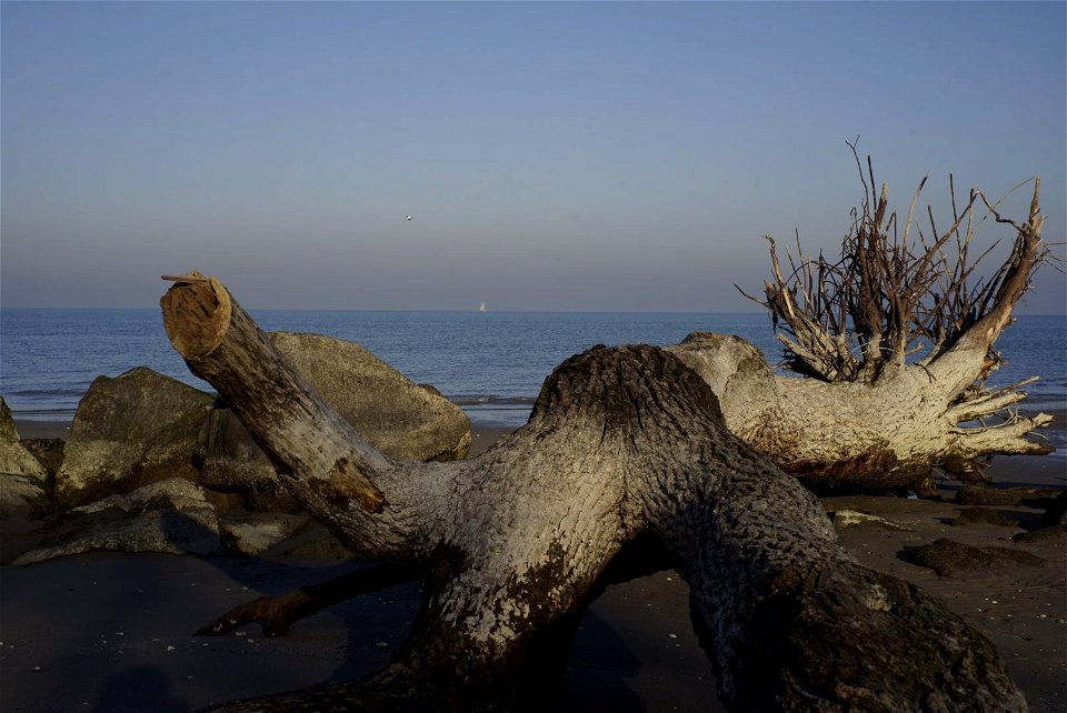 Seascape