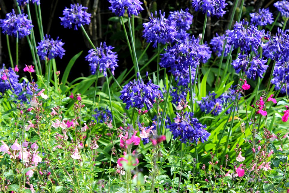 Golden Acre Park - Leeds